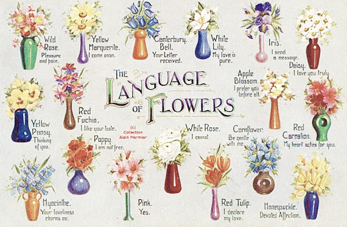 Floriography: Victorian Flower Language Postcard
